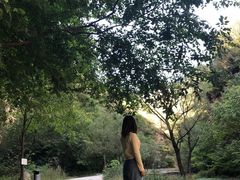 -狼牙山风景区