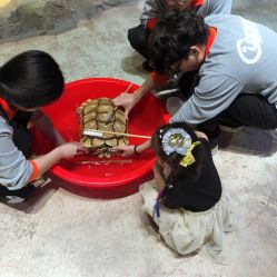 -酷嗒动物文化乐园(cutezoo西溪乐天城店)