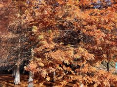 -南京市无想山景区