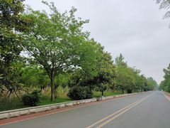 -云幽谷旅游区