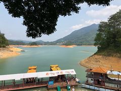 -广州市流溪河国家森林公园