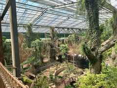 -呀路古热带植物园