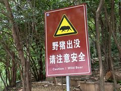 -紫金山山顶公园