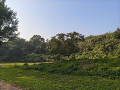 -福建鲤鱼洲酒店