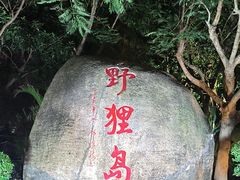 -野狸岛