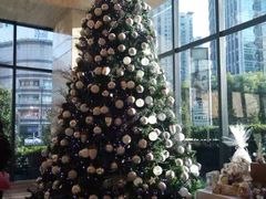 -上海龙之梦万丽酒店