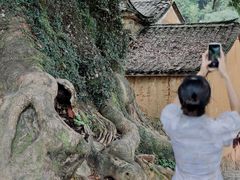 -杨家堂村