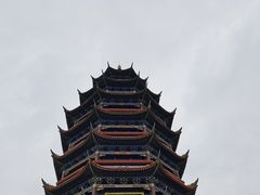 -铁山坪森林公园