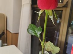 -芭夯兔·兔肉汤锅(新都店)