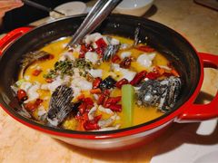 鲜花椒龙胆鱼-上饍·中国厨房(建发JFC品尚中心店)