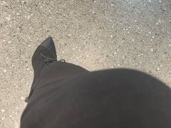 -上海明天广场JW万豪酒店