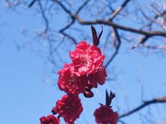 -棒棰岛宾馆景区