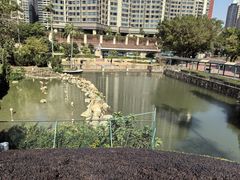 -石排湾郊野公园