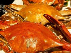 -旺角小渔村(幸福中路店)