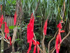 -七仙岭温泉国家森林公园