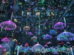 -星空失恋博物馆(北京路旗舰店)