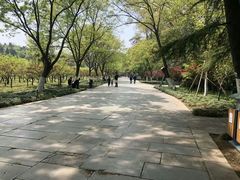 -紫金山山顶公园