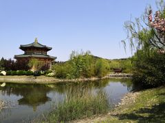 -龙口南山旅游景区