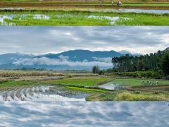 -海南霸王岭国家森林公园