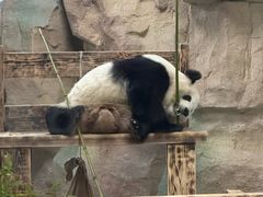 -无锡动物园·太湖欢乐园