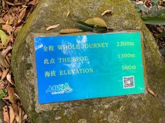 -七仙岭温泉国家森林公园