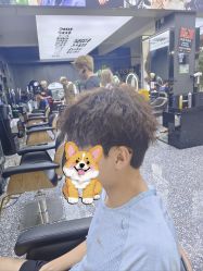 -藤野造型专业烫染接发