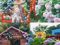 -天适樱花悠乐园