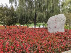 -永定河休闲森林公园