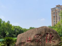 -陈家山荷花公园