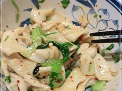 -后卫寨猫耳朵(后卫寨店)