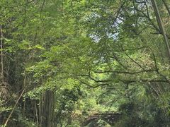 -凤栖山
