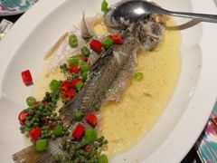 -海派悦庭·海胆烧麦·新融合菜(凯德广场店)