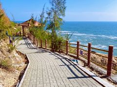 -广东惠东海龟国家级自然保护区