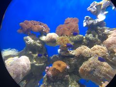 -烟台海昌鲸鲨海洋公园