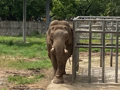 -西安秦岭野生动物园
