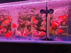 -三旗百汇商品城