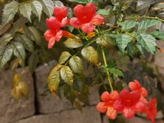 -苏州吴中太湖旅游区