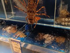 -烧蠔帮·生蚝海鲜牌档(观海店)