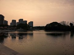 -新江湾城公园