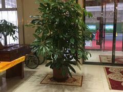 -胶东人家(奥体中心店)