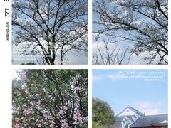 -八大山人梅湖景区