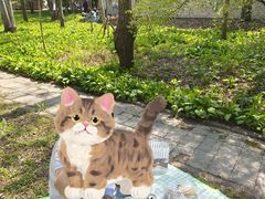 -黑龙江省森林植物园
