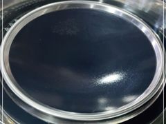 -皖北巫氏三胖地锅鸡(长淮总店)