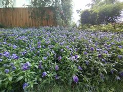 -西安电影制片厂