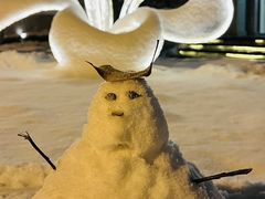 -7号院家宴.烧鸽子(门头沟店)