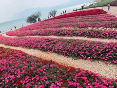 -月亮湾湿地公园