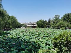 -莲池书院博物馆
