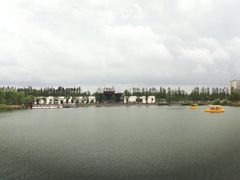 -上海长兴岛郊野公园