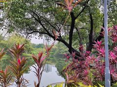 -晓港公园