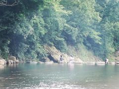 -北仑森林植物园